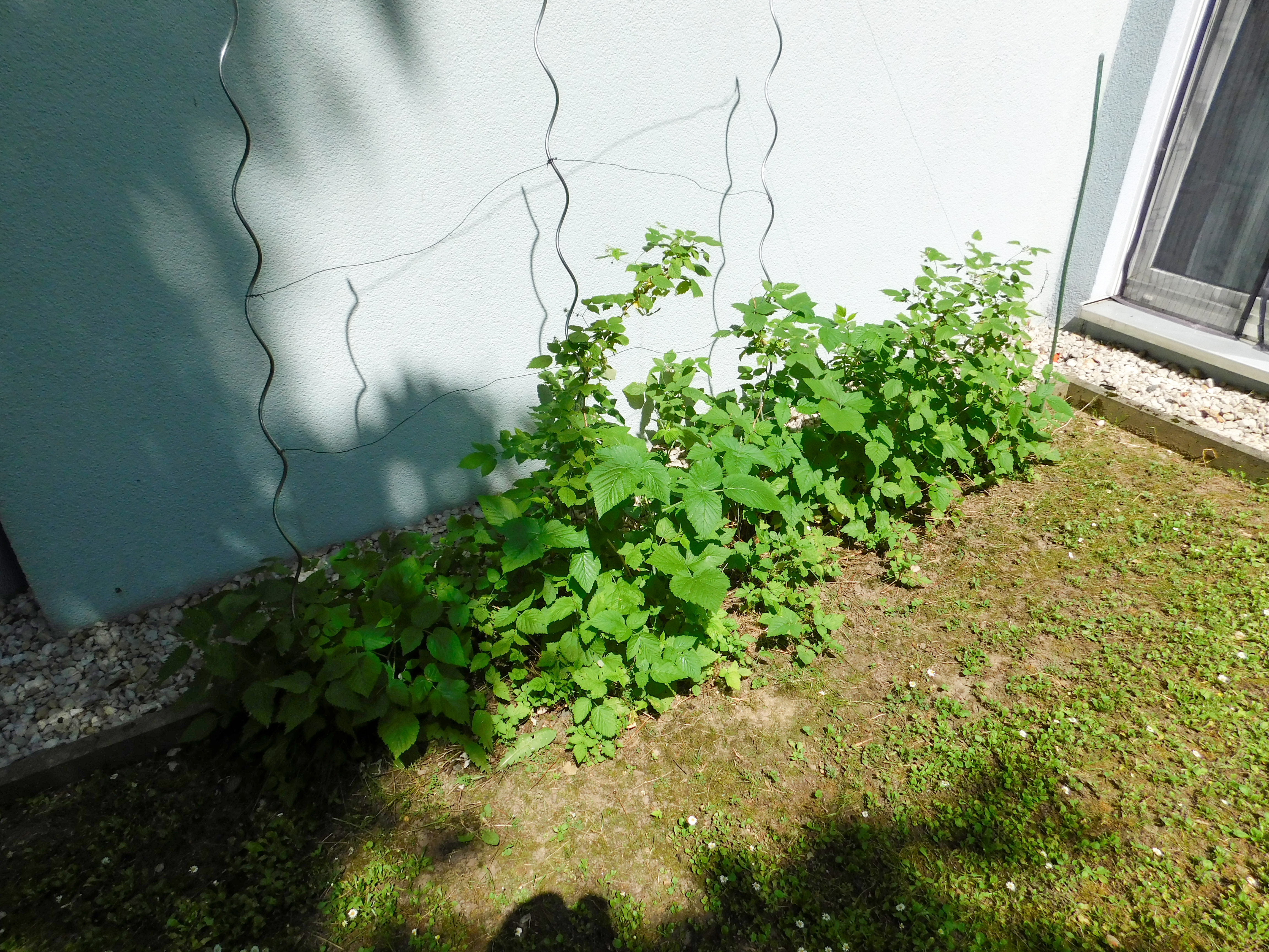 image-56875