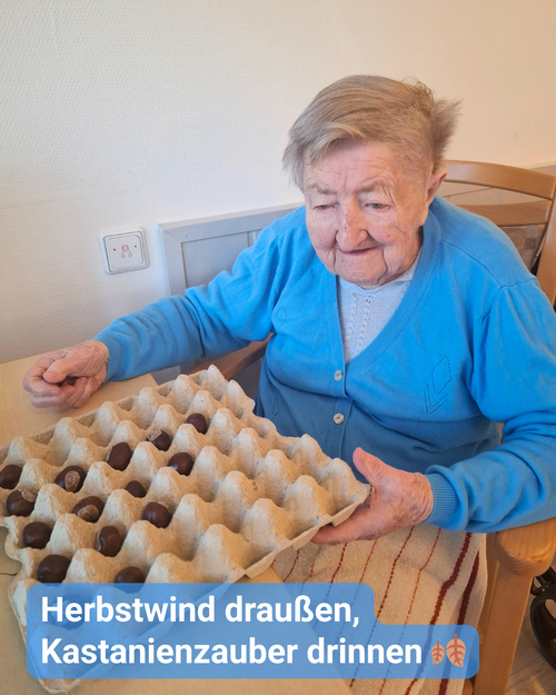 Eine Seniorin in einer blauen Strickjacke sitzt an einem Tisch und legt Kastanien in einen Eierkarton nach einem Muster ab. Bildbeschriftung: „Herbstwind draußen, Kastanienzauber drinnen“